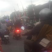 Cỏ