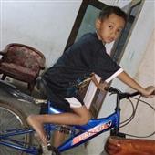 Cỗ